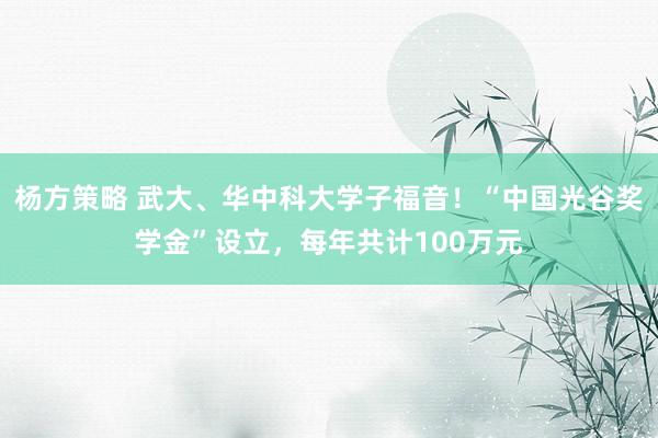 杨方策略 武大、华中科大学子福音！“中国光谷奖学金”设立，每年共计100万元