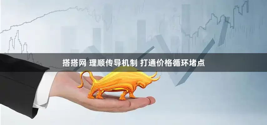 搭搭网 理顺传导机制 打通价格循环堵点