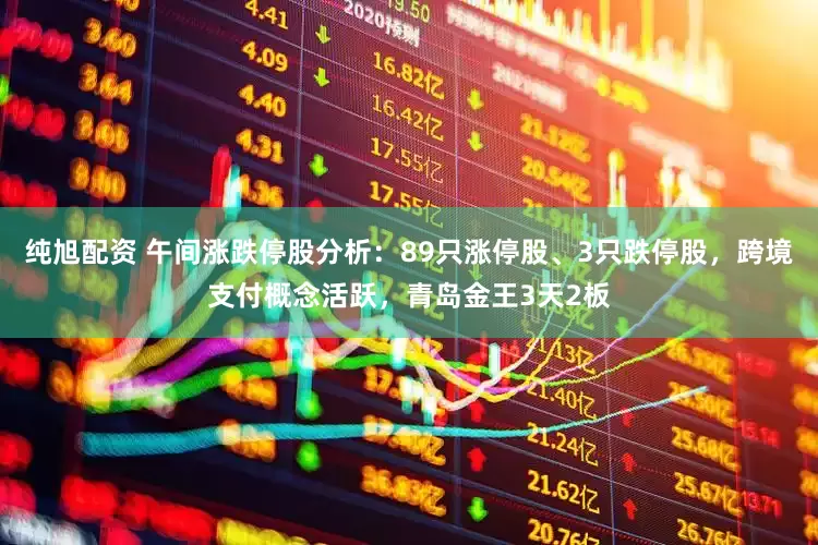 纯旭配资 午间涨跌停股分析：89只涨停股、3只跌停股，跨境支付概念活跃，青岛金王3天2板