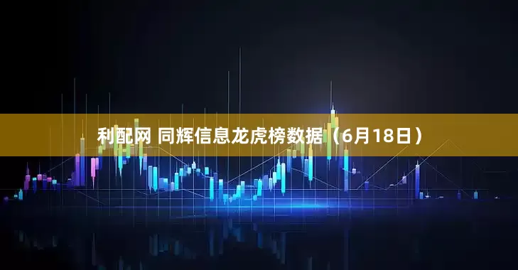利配网 同辉信息龙虎榜数据（6月18日）
