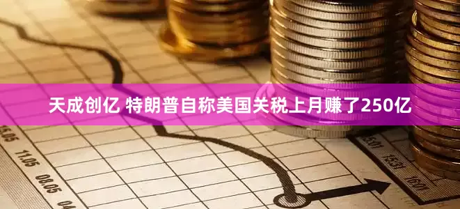 天成创亿 特朗普自称美国关税上月赚了250亿